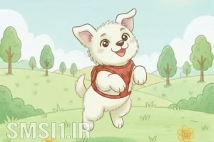 قصه کودکانه قلب بزرگ پاپی